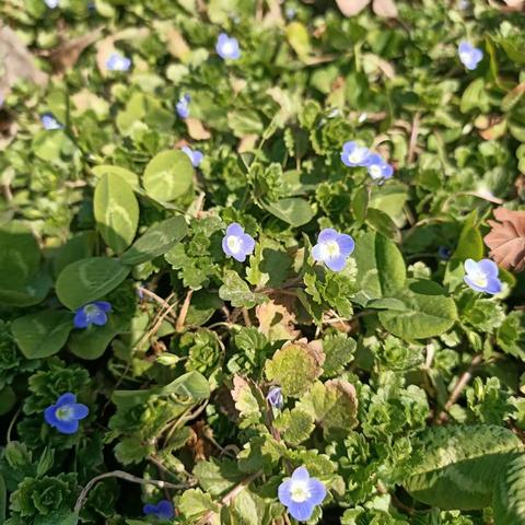 之小一班——居家抗疫，科学小实验做起来。