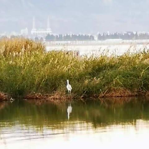 湖畔恋歌