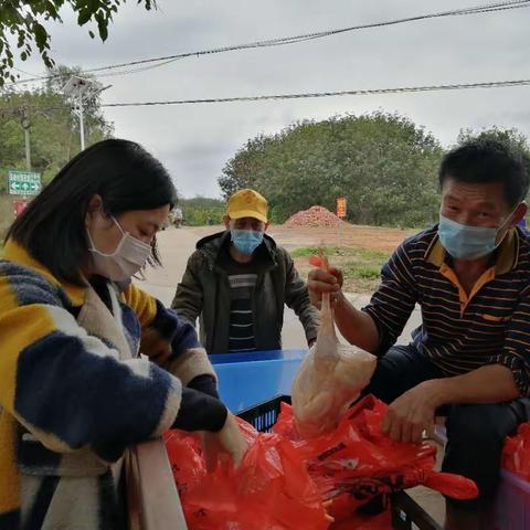 打好疫情防控战，消费扶贫在行动——琼山区总工会深入甲子镇昌西村助推消费扶贫