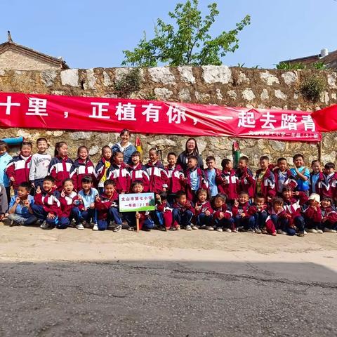 春风十里—正植有你 🌈文山市第七小学一级年(2)班亲子踏春旅程。