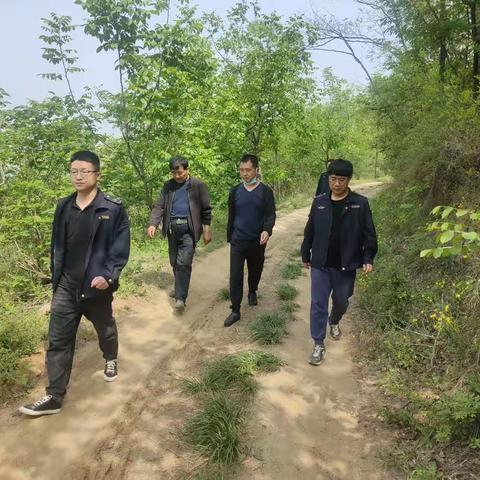 【周至县楼观镇秦岭北麓网格化管理办公室】2023年4月18日网格化巡查工作纪实