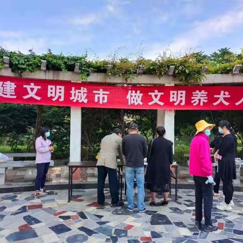 西三旗街道下社区办理养犬年检登记一站式服务