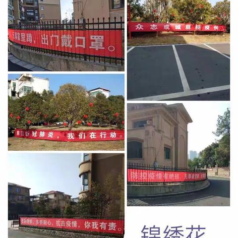 青龙物业防控疫情