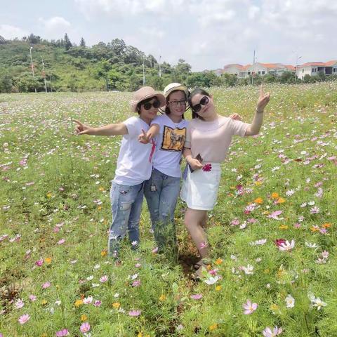 美美哒，户外赏花