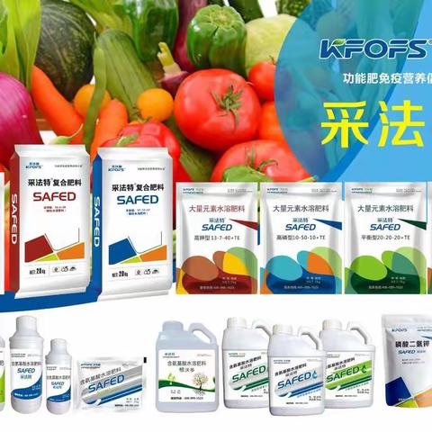采法特～水稻全程效果展示