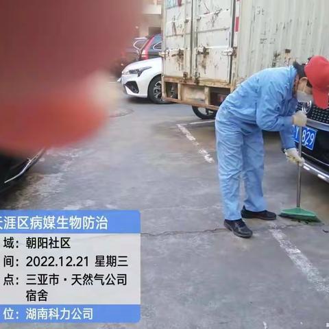 2022年12月21日三亚市天涯区南海片区病媒生物防制工作情况