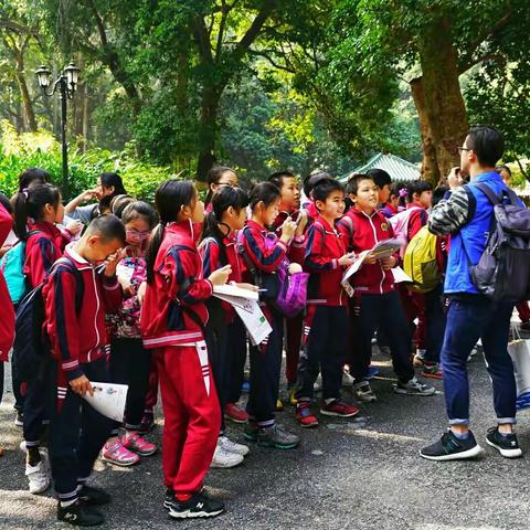在罗浮山采风偶遇广州外国语学校小学生在蒿园写生