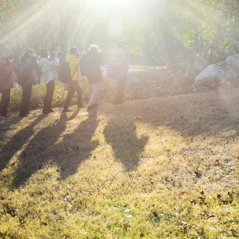 金秋好时节 摄影创作忙（三年级摄影/301班）