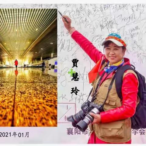 二年级摄影习作第十期       （摄影/二01班）