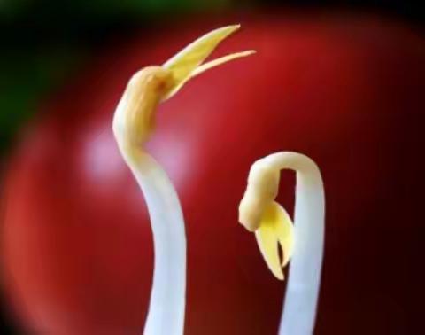 二年级摄影习作第十二期（摄影/二01班）