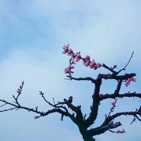 二年级摄影习作第十一期         （摄影/二01班）