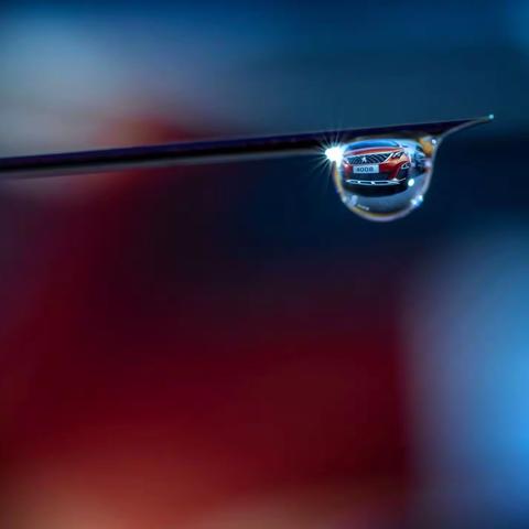 二年级摄影习作第十三期（摄影/二01班）