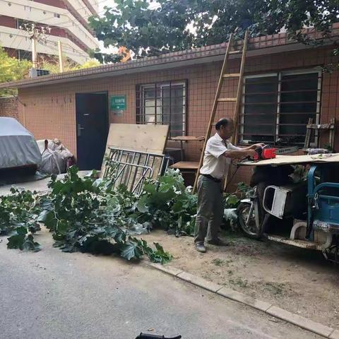 六北社区大扫除  ———美化环境  守护健康