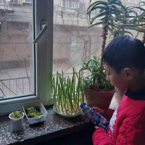 假期学习生活收获成功小达人，棒棒棒！