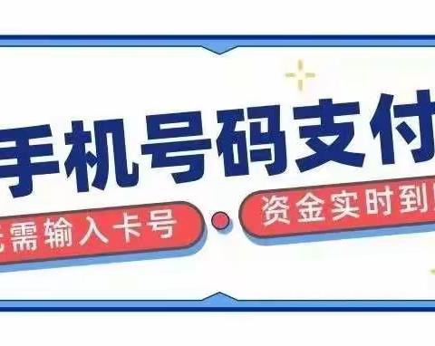 人行九寨沟县支行多措并举推广手机号支付业务