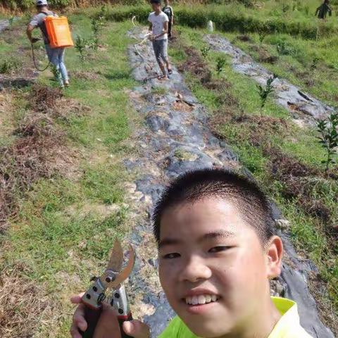 辛勤劳动的一天