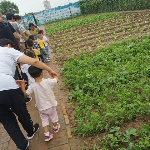 托班宝宝与冠博幼儿园相遇第四天