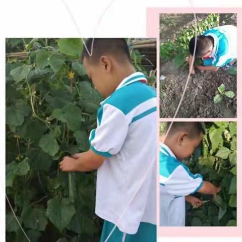 开鲁县实验小学2018级3班暑期社会实践活动