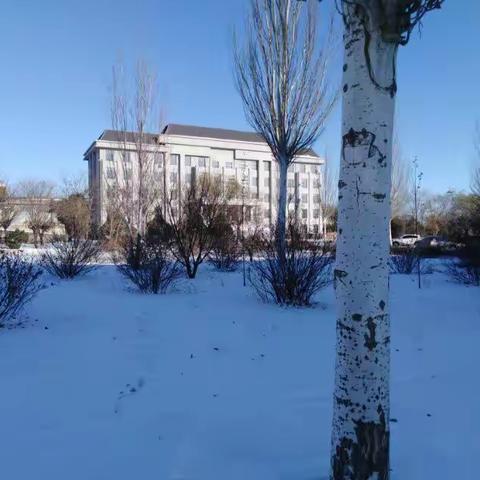 雪后拾趣（一）