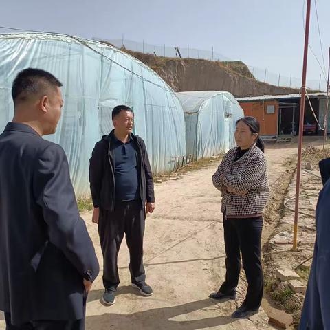 虎关乡4月12日工作动态