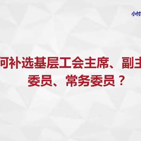 如何补选基层工会主席、副主席、委员、常务委员？