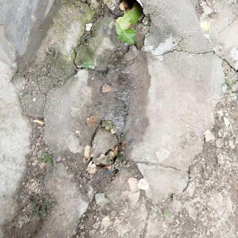 济南市人居环境整治通报——苑李网格