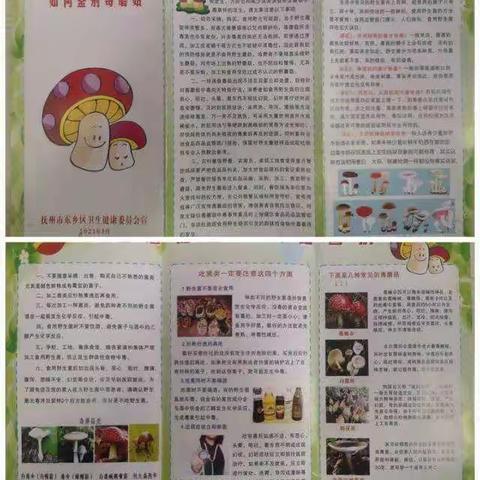 红星垦殖场开展＂严禁采食野生蘑菇预防食物中毒＂宣传活动