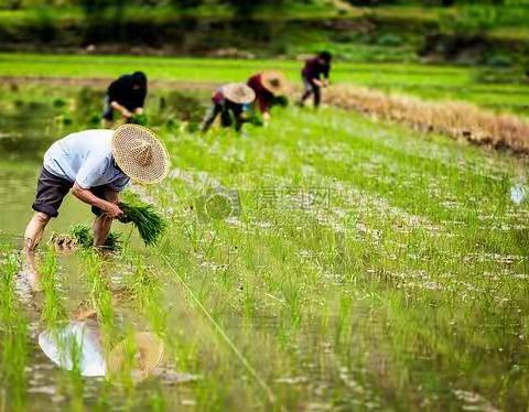 劳动快乐又光荣