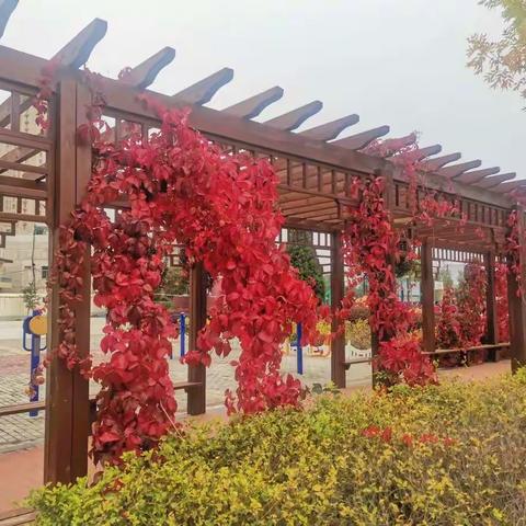 超燃来袭 || 三班孩子的第一首小诗