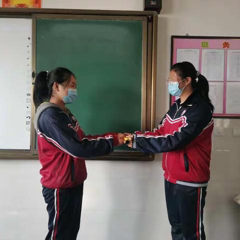 小小圆规别样情