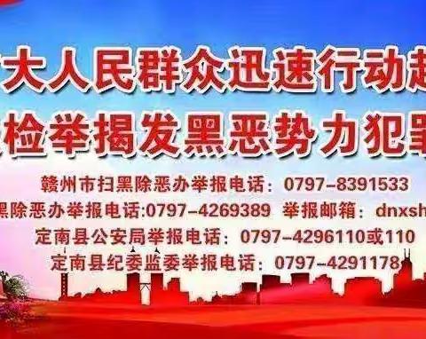 定南五小党支部6月份“党员活动日+”学习教育活动——定南五小党建周记（第17周）