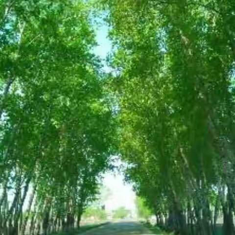 共赴“专递课堂”       共享“教学相长”