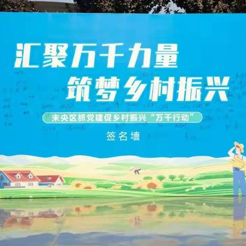 汇聚万千力量 筑梦乡村振兴丨未央区抓党建促乡村振兴“万千行动”在楼阁台村党建阵地正式启动