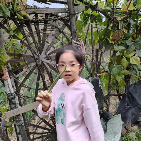 成熟的秋天      丰收的喜悦