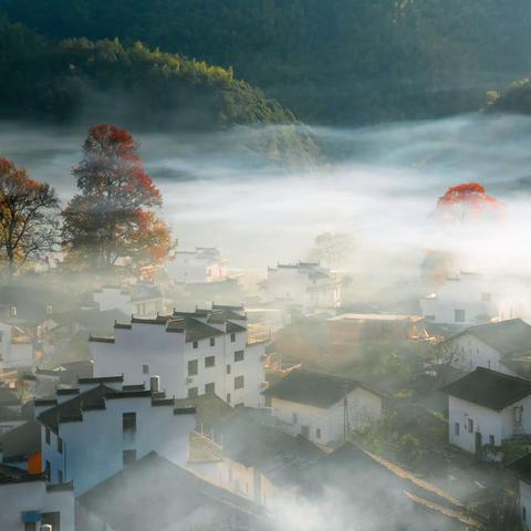 婺源行