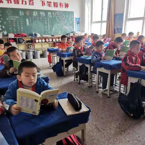 让读书成为习惯  让生活溢满书香——记洛阳小学读书活动