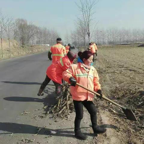 2017年1月23日善福乡“五道五治”工作动态