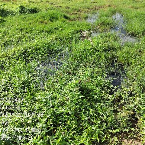 生活污水直排污染河流       部门联合督促进行整改