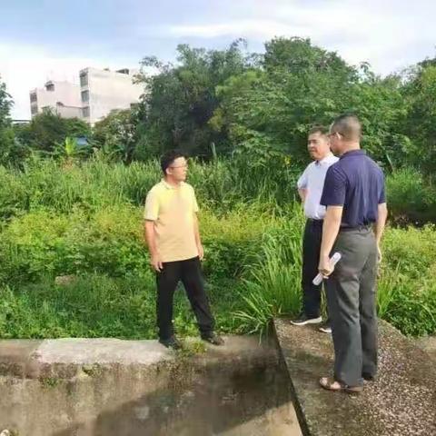 儋州市人民政府莫正群副市长调研时强调压实部门主体责任，消除城市黑臭水体及疑似水体黑臭