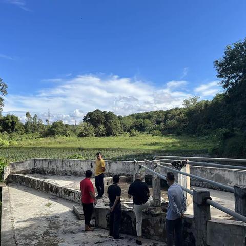 大成镇西培农场瑞图村地下型饮用水水源地环境问题整治情况排查
