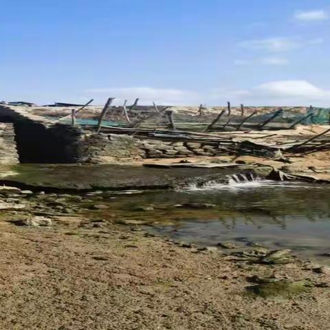 再次核实入海排污口，有序推进国家海洋督察入海排污口整改工作