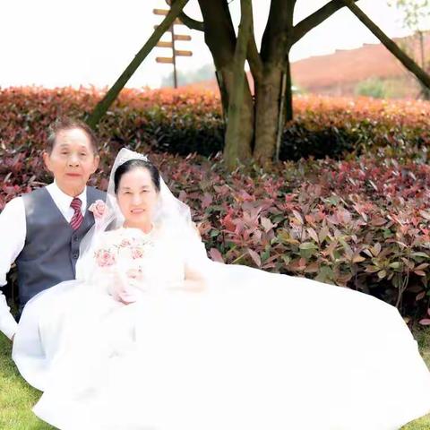 婚姻五十载，相伴到永远！