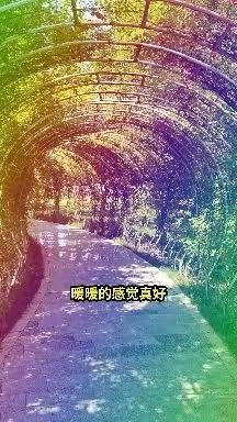 有没有一种思念永不疲惫