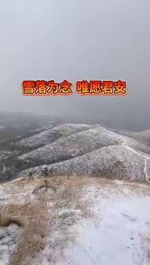 雪落为念  唯愿君安