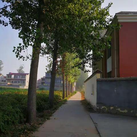 今天去了农科所