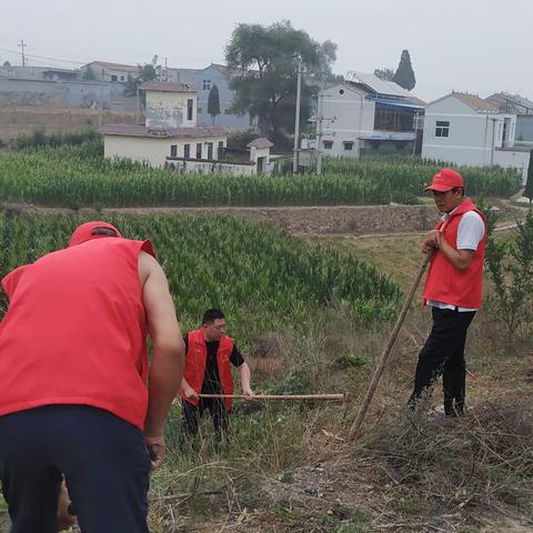 志愿修路暖人心 奉献为民我先行——义城村7.20党日活动