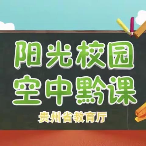 “阳光校园空中黔课”小学音乐观课总结