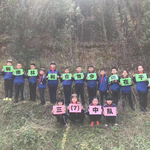 3.12 一起种植绿色的梦想———三（7）中队植树活动小记
