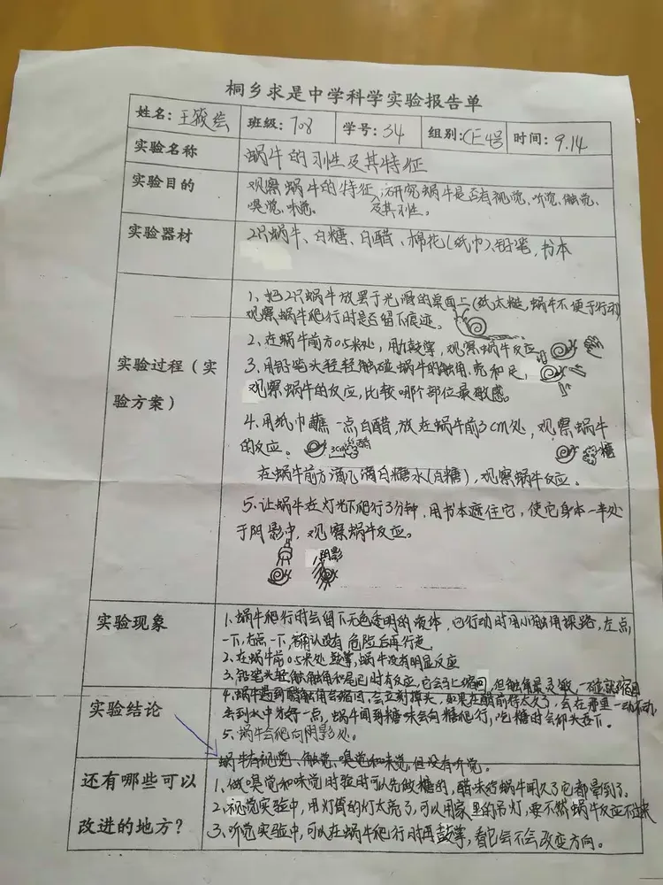 整理实验报告