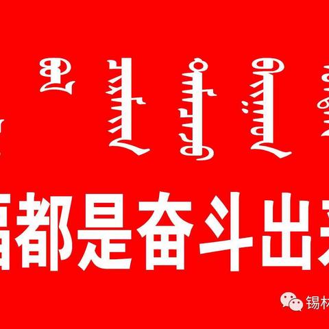 油田学校三年一班钮雨辰寒假生活记录